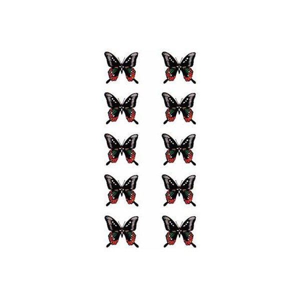 ^gD[V[@